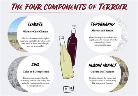 WINE Meaning in Tagalog .